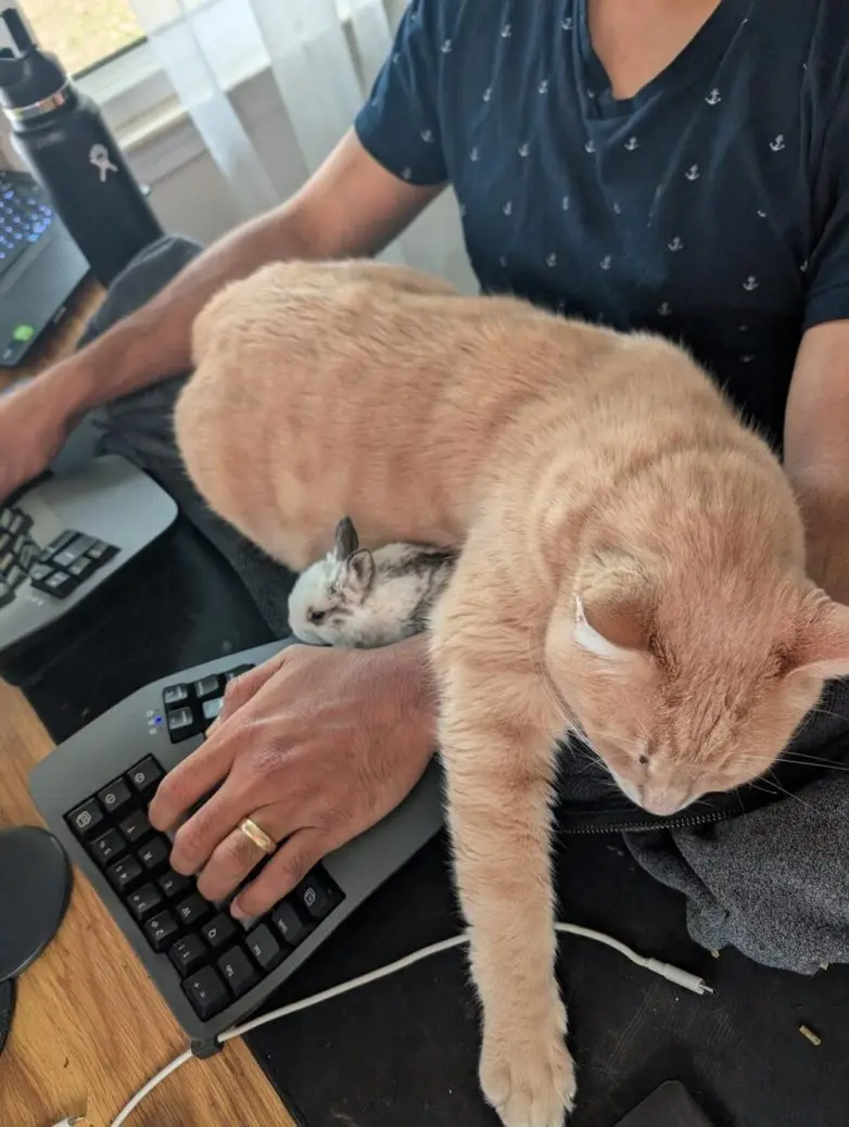 30 фото животных, которые растопят ваше сердце