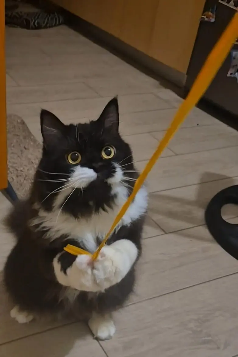 30 фото животных, которые растопят ваше сердце