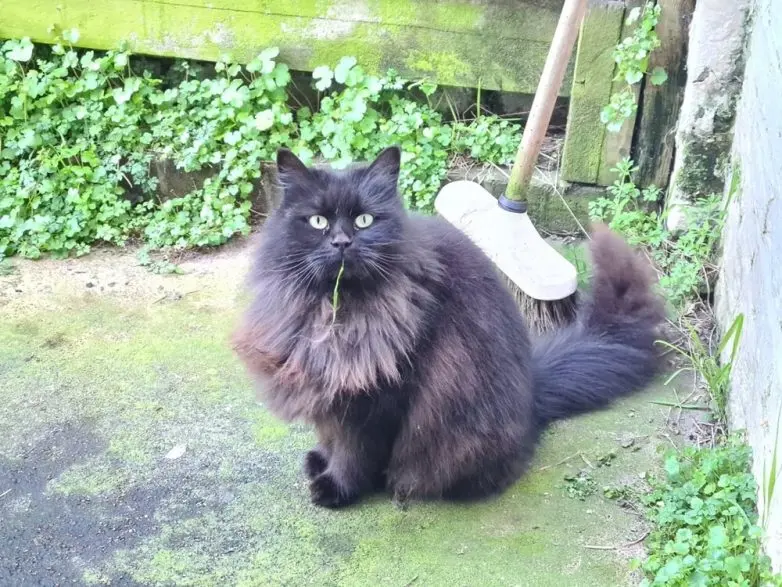 30 фото животных, которые растопят ваше сердце