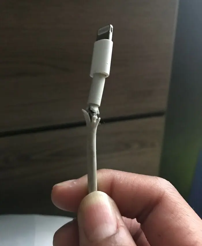 Когда гости переходят все границы: 17 историй о визитах, после которых хочется закрыть дверь навсегда