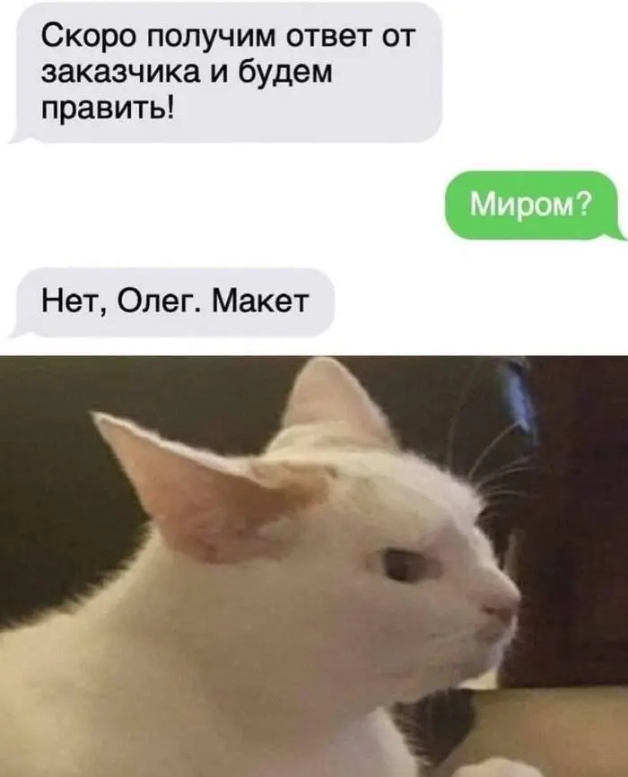 Смех до слёз: убойная подборка мемов и комментариев из сети