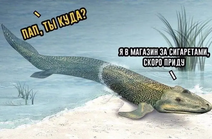 Смех до слёз: убойная подборка мемов и комментариев из сети