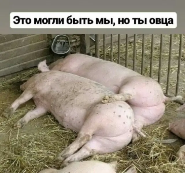 Убойная подборка мемов для отличного настроения