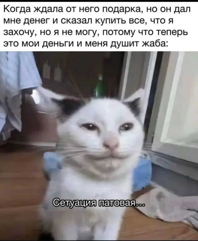 Убойная подборка мемов для отличного настроения