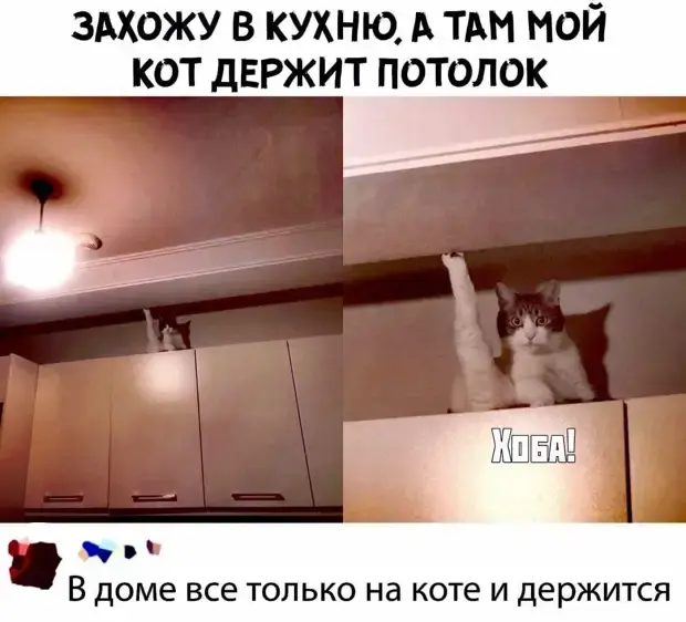 Свежая порция юмора: анекдоты на каждый день