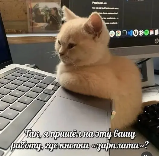 Забавные истории для поднятия настроения