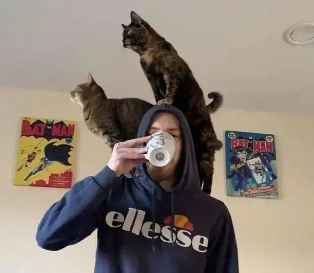 Когда питомец не знает, что такое личное пространство: 20 уморительных фото