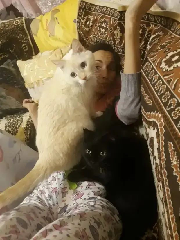 Когда питомец не знает, что такое личное пространство: 20 уморительных фото