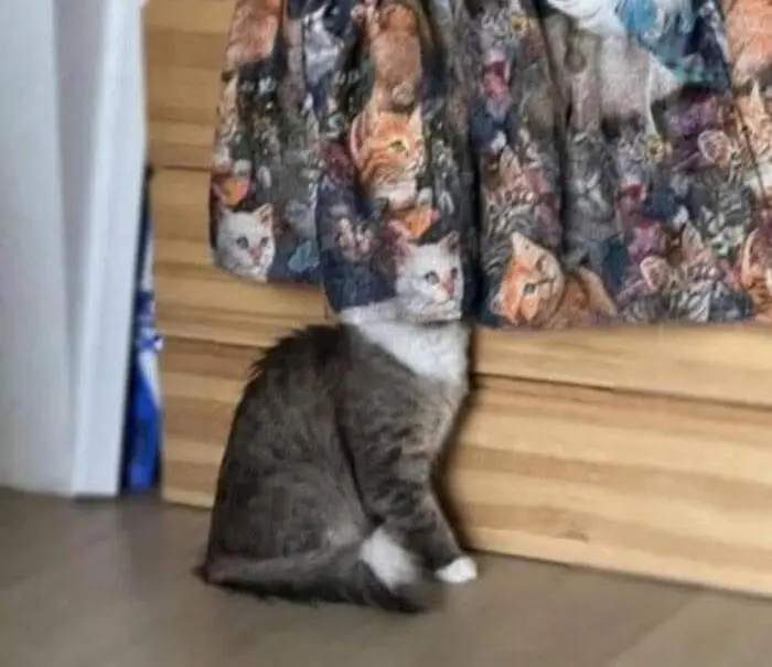 Смешные картинки и мемы для хорошего настроения