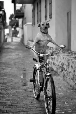 Смешные картинки и мемы для хорошего настроения