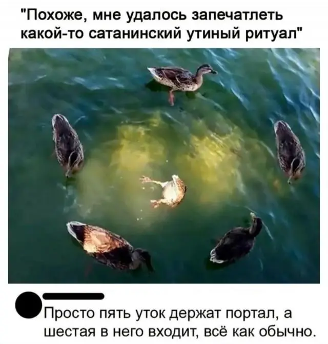 Смешные картинки и мемы для хорошего настроения