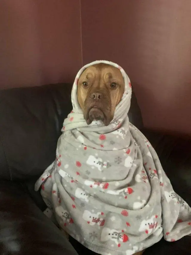 Смешные картинки и мемы для хорошего настроения