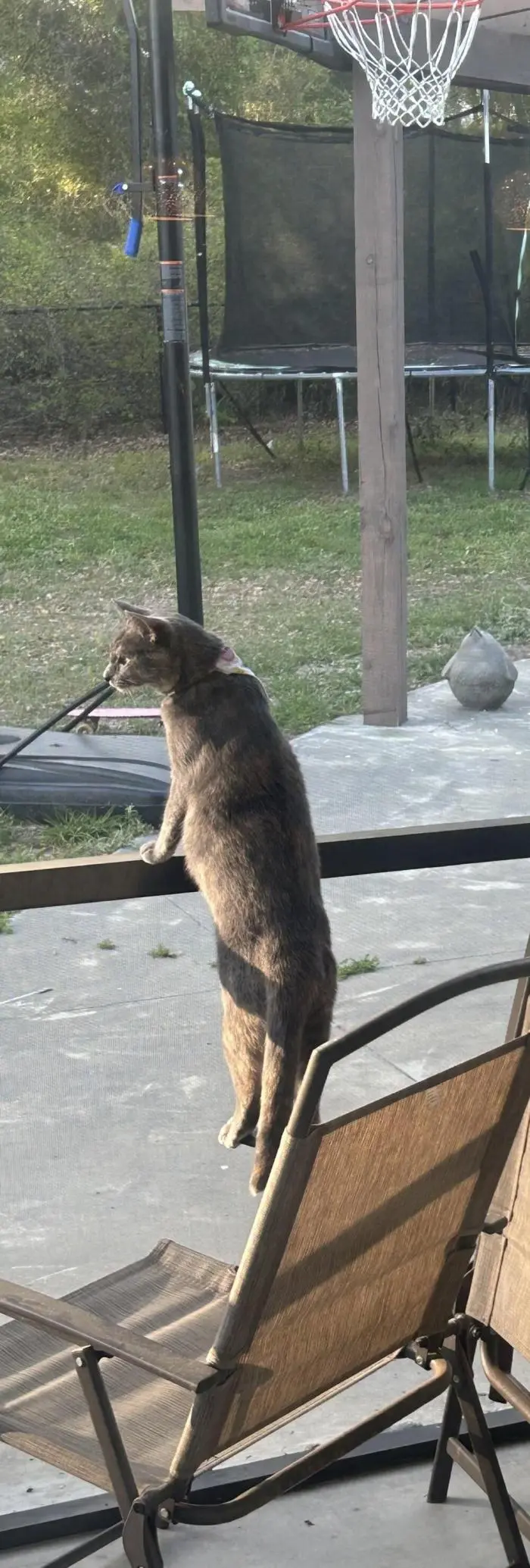 Смешные картинки и мемы для хорошего настроения