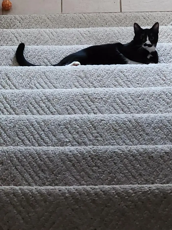 Смешные картинки и мемы для хорошего настроения