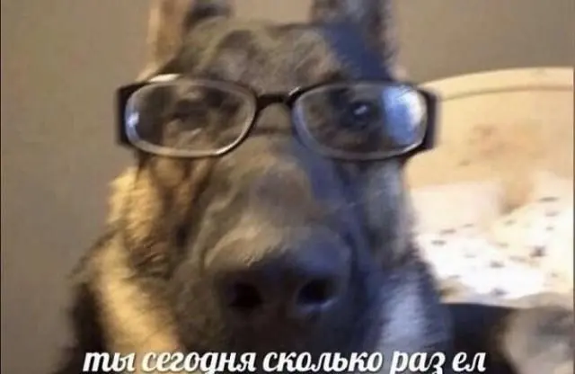 Смешные картинки и мемы для хорошего настроения