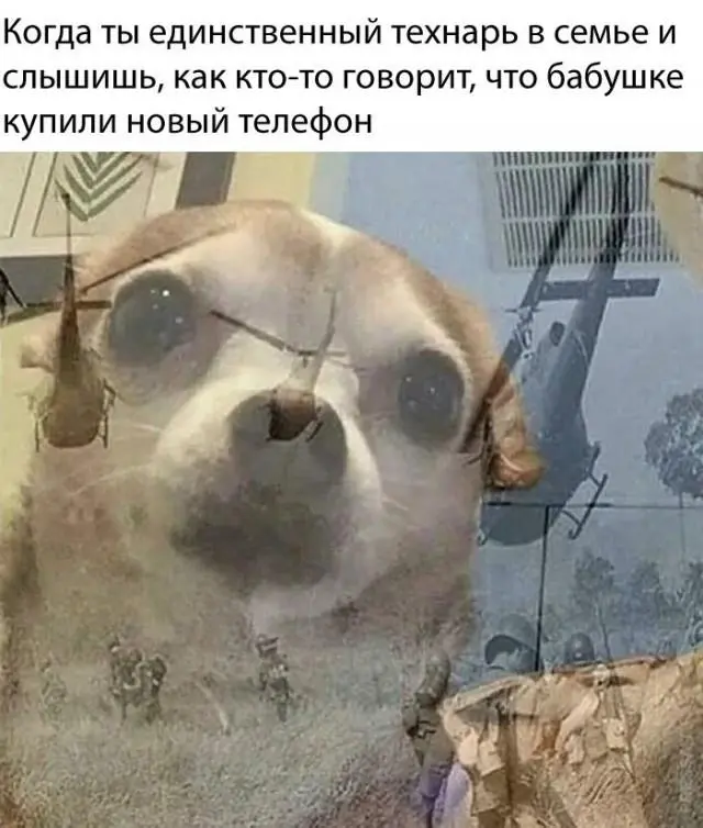 Смешные картинки и мемы для хорошего настроения