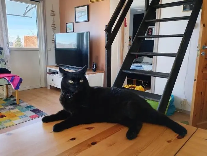 Смешные картинки и мемы для хорошего настроения