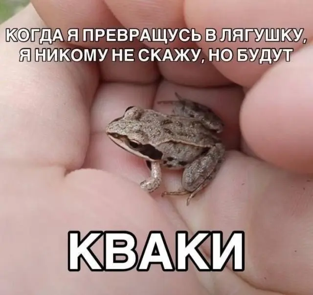 Смешные картинки и мемы для хорошего настроения