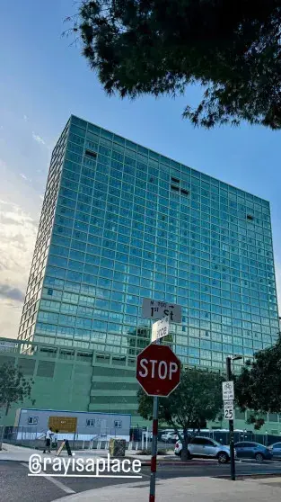 Даша Жукова в цветочном платье открыла новый арт-объект в США