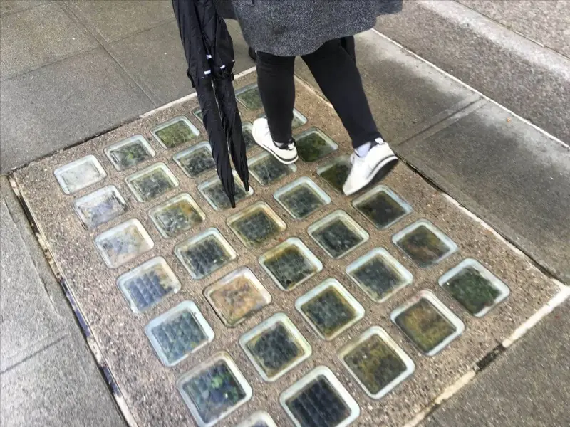 Секрет стеклянных квадратов в тротуарах Лондона