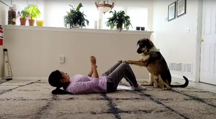 Смекалистые питомцы: 17 фото, которые доказывают, что животные умнее, чем мы думаем