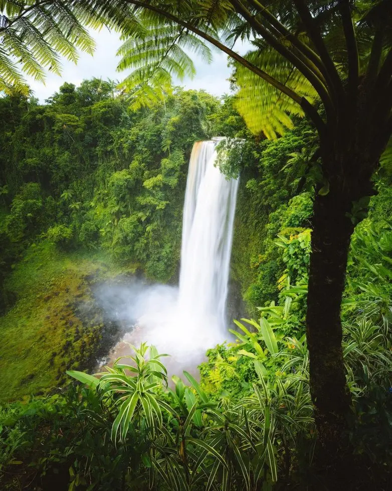 Мэтью Ханел: Взгляд фотографа-авантюриста на мир