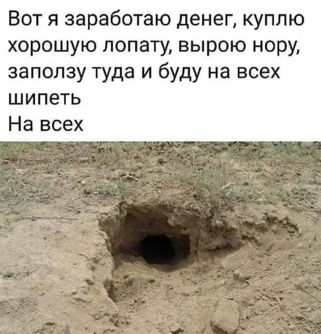 Лучшие шутки и мемы для поднятия настроения
