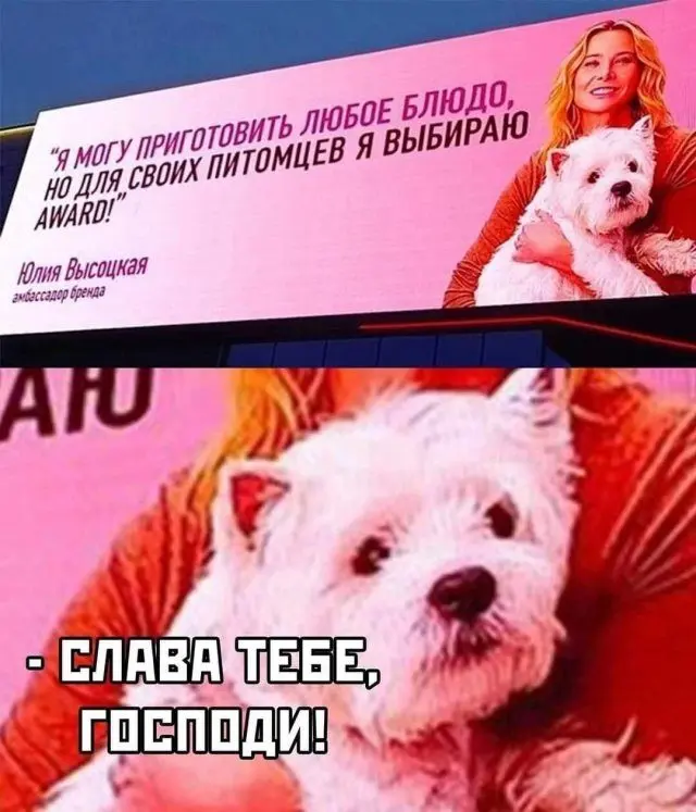 Лучшие шутки и мемы для поднятия настроения