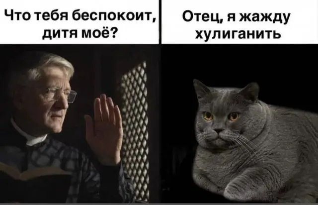 Лучшие шутки и мемы для поднятия настроения