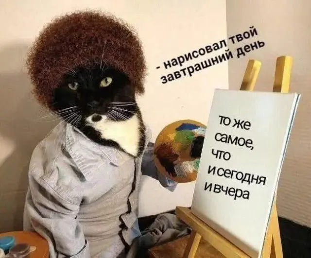 Лучшие шутки и мемы для поднятия настроения