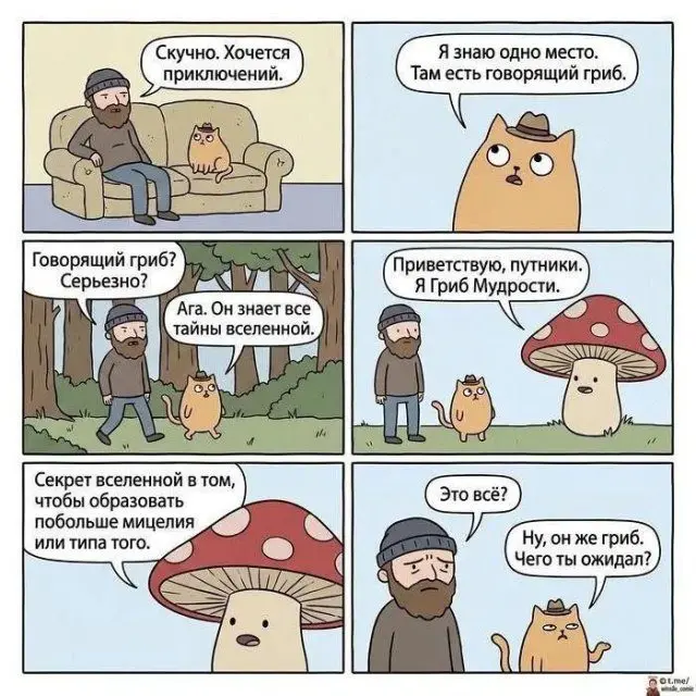 Лучшие шутки и мемы для поднятия настроения