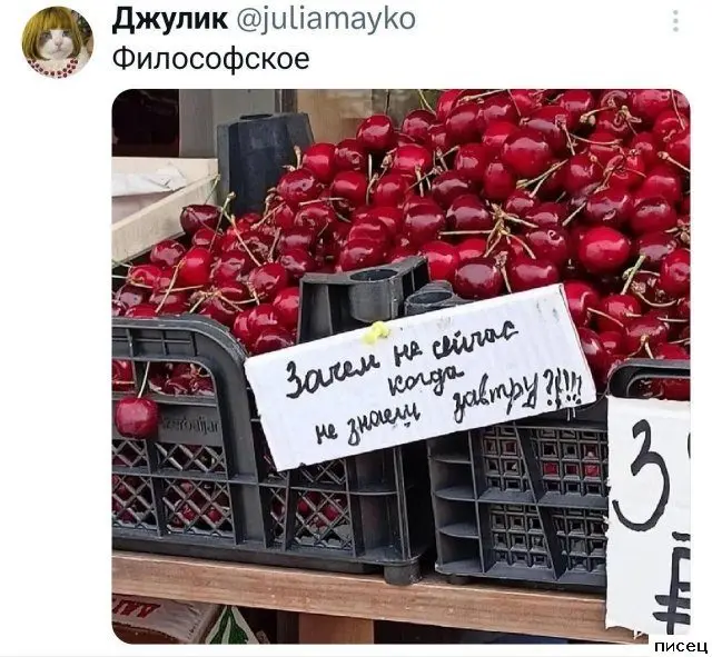 Остроумие в сети: самые смешные комментарии, которые вы пропустили