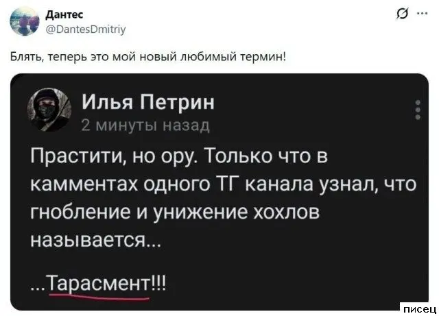 Остроумие в сети: самые смешные комментарии, которые вы пропустили