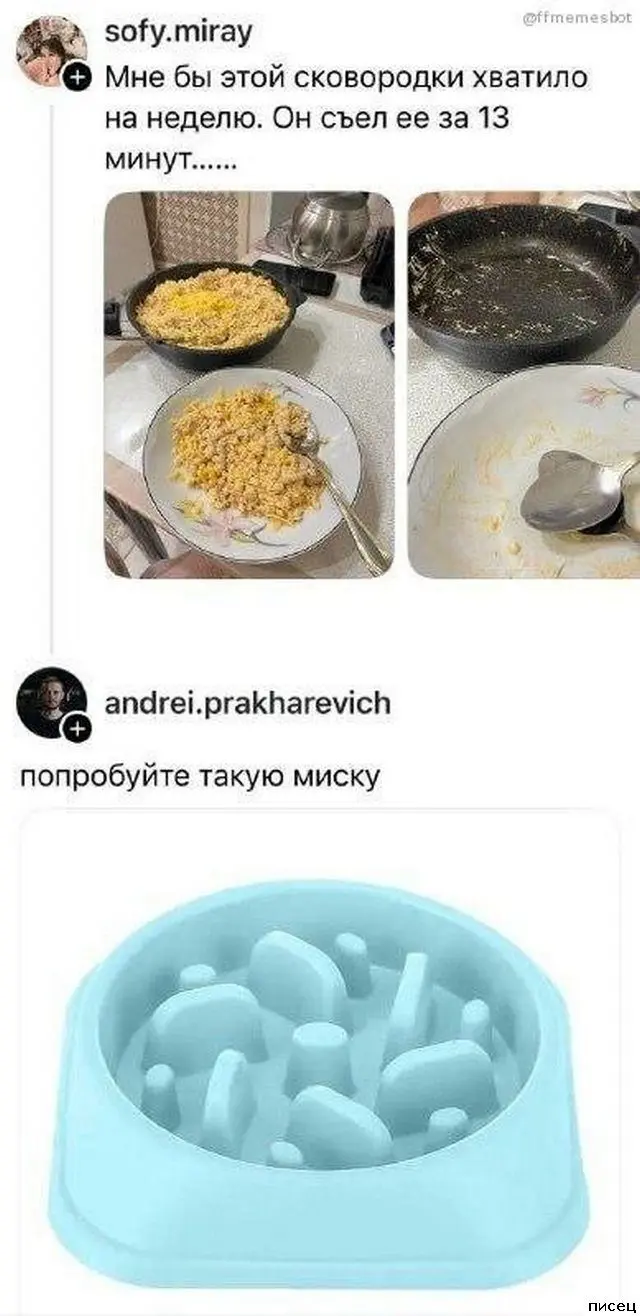 Остроумие в сети: самые смешные комментарии, которые вы пропустили