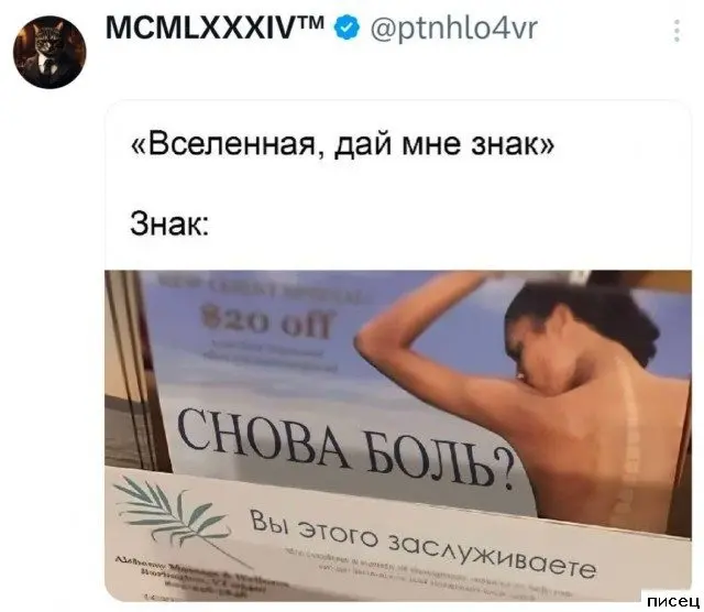 Остроумие в сети: самые смешные комментарии, которые вы пропустили