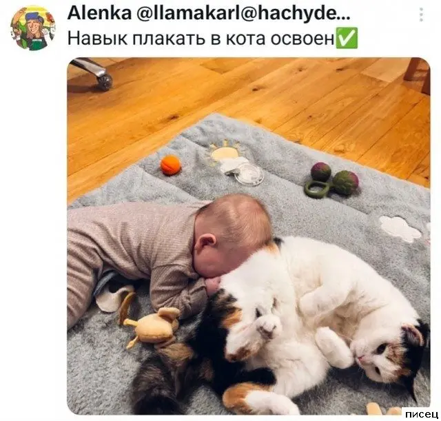 Остроумие в сети: самые смешные комментарии, которые вы пропустили