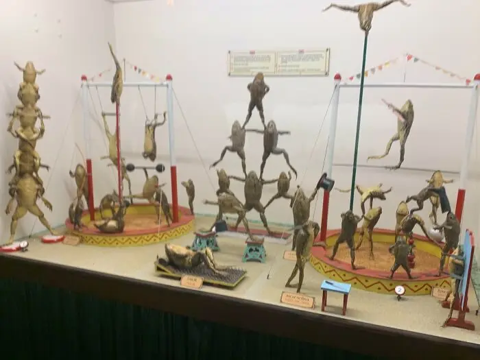 Самые неожиданные музеи мира, которые разрушают стереотипы