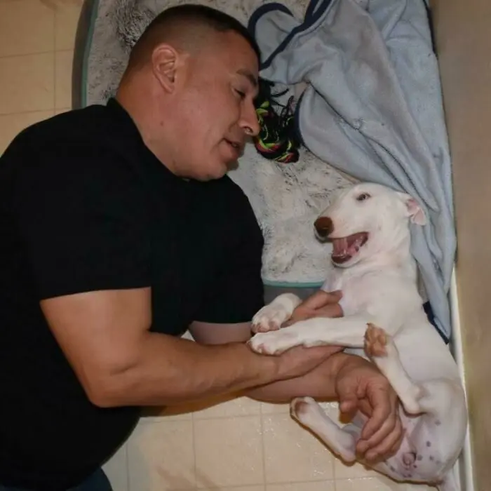 Папы и их питомцы: как категорическое «нет» превращается в любовь