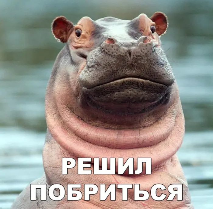 Пятничный заряд позитива: лучшие мемы и приколы