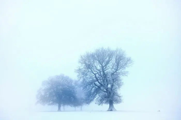 Пятничный заряд позитива: лучшие мемы и приколы