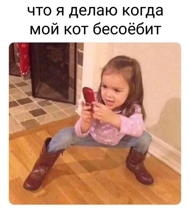 Пятничный заряд позитива: свежая порция мемов и приколов