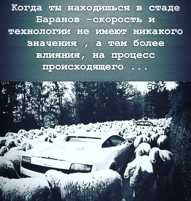 Пятничный заряд позитива: свежая порция мемов и приколов