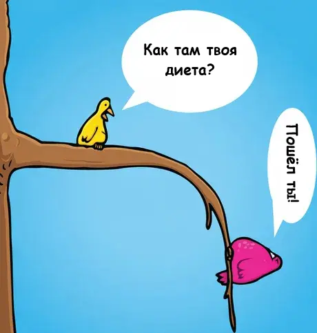 Пятничный заряд позитива: свежая порция мемов и приколов