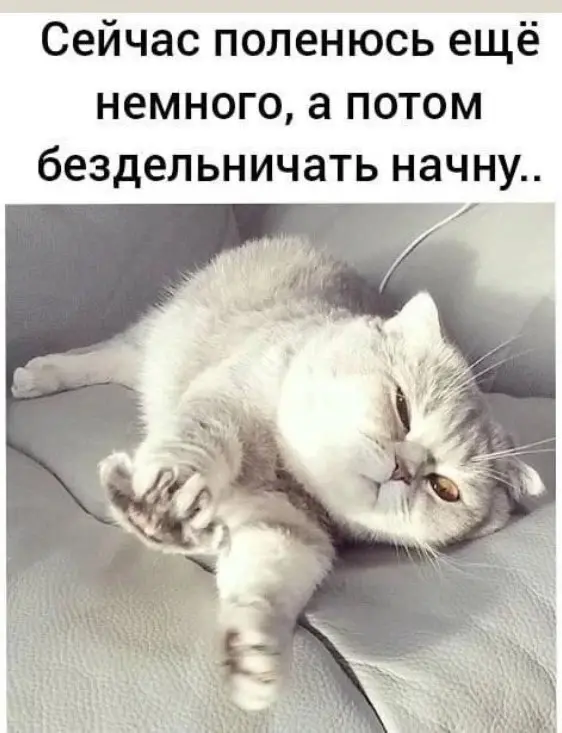 Пятничный заряд позитива: свежая порция мемов и приколов