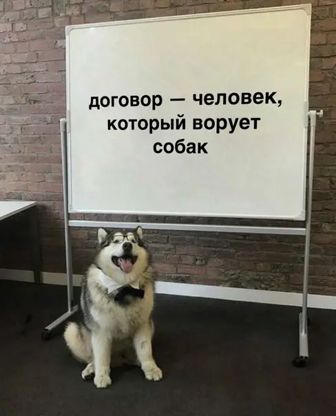 Пятничный заряд позитива: свежая порция мемов и приколов