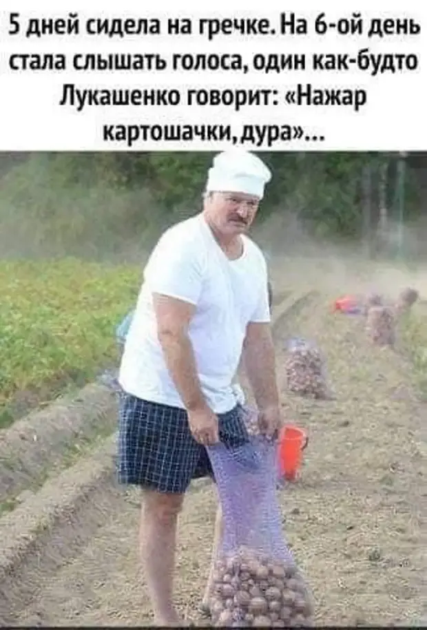 Свежая порция юмора: анекдоты на каждый день