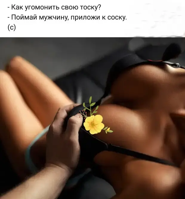 Короткие шутки, чтобы поднять настроение