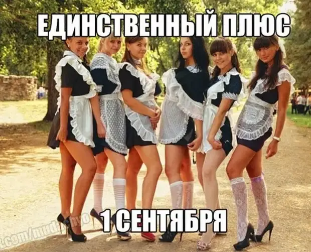 Забавные истории и анекдоты для хорошего настроения