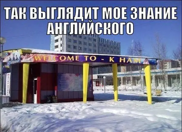 Случайные кадры из сети, которые цепляют взгляд