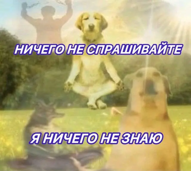 Случайные кадры из сети, которые цепляют взгляд